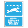 Знак «Место плавания с морской трубкой», БВ-41 (металл, 300х400 мм)